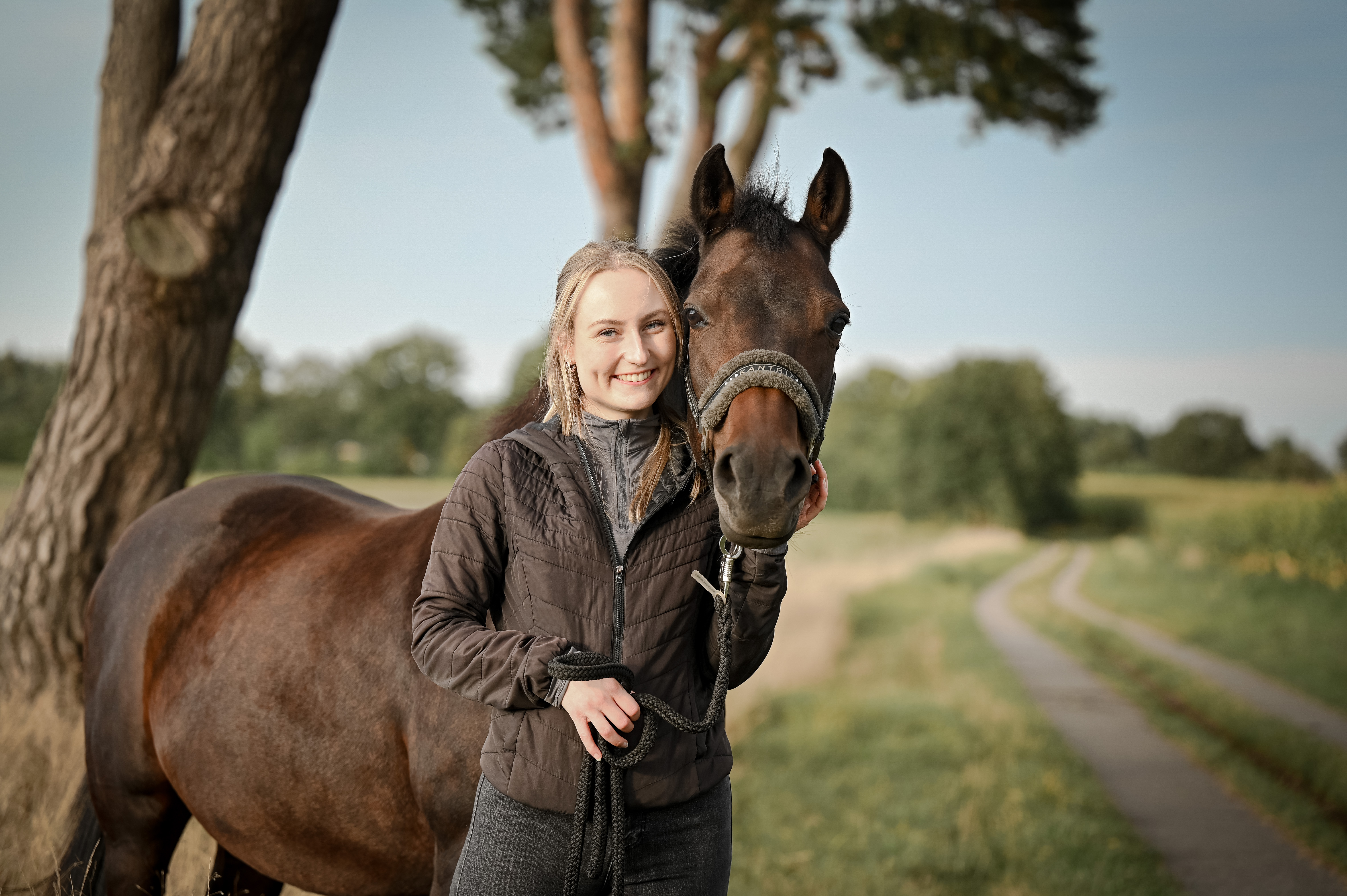 A cute horse